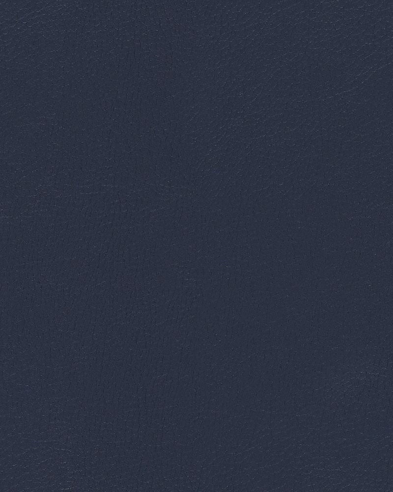 Sample of Mayer Durango Sapphire DU-004 Cambridge Coordinates Collection Upholstery Fabric