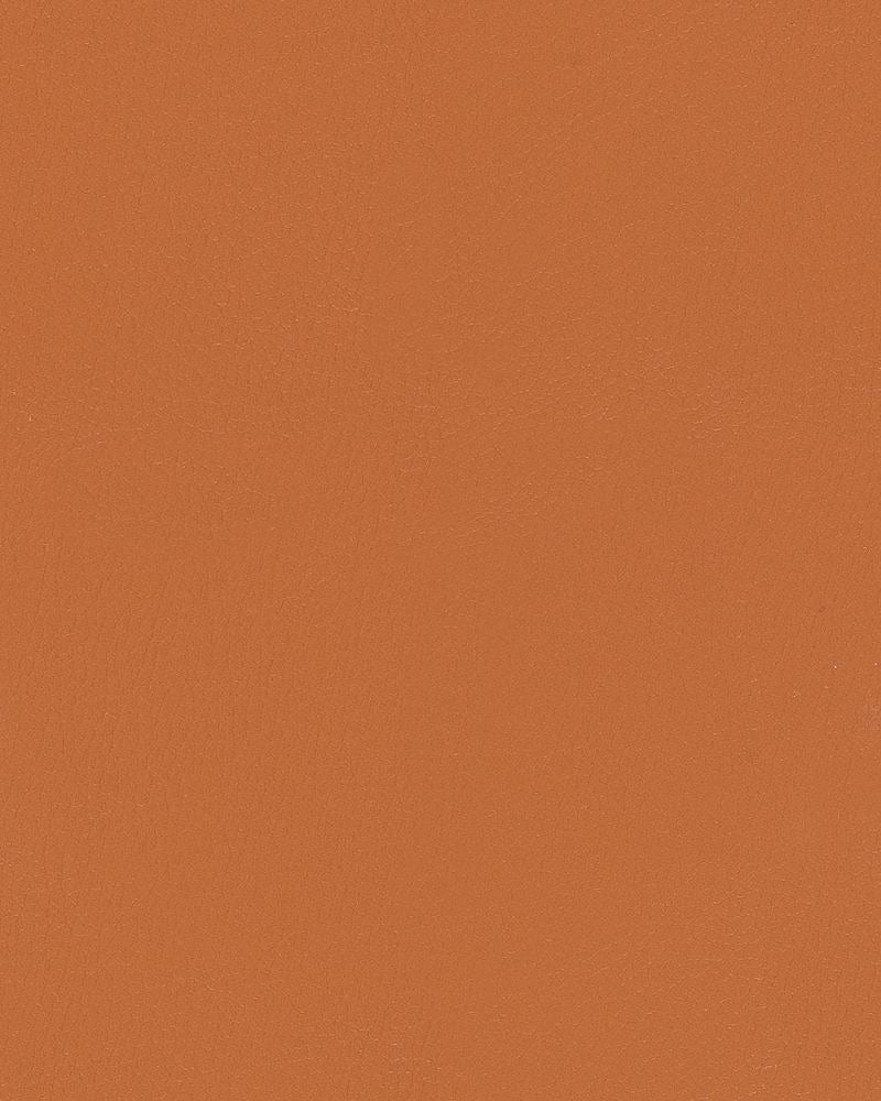 Sample of Mayer Durango Sepia DU-019 Cambridge Coordinates Collection Upholstery Fabric