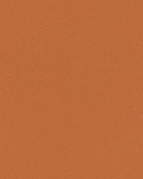 Sample of Mayer Durango Sepia DU-019 Cambridge Coordinates Collection Upholstery Fabric