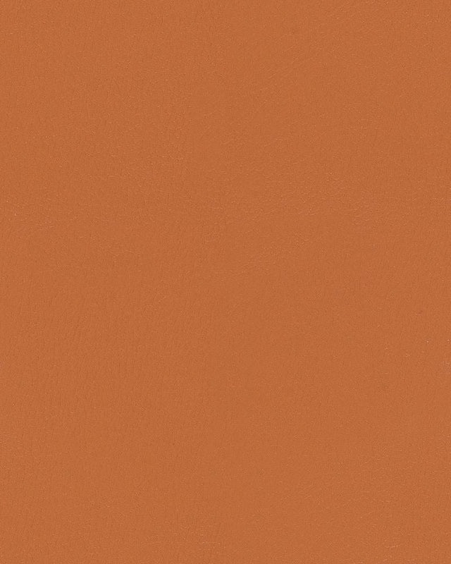 Sample of Mayer Durango Sepia DU-019 Cambridge Coordinates Collection Upholstery Fabric