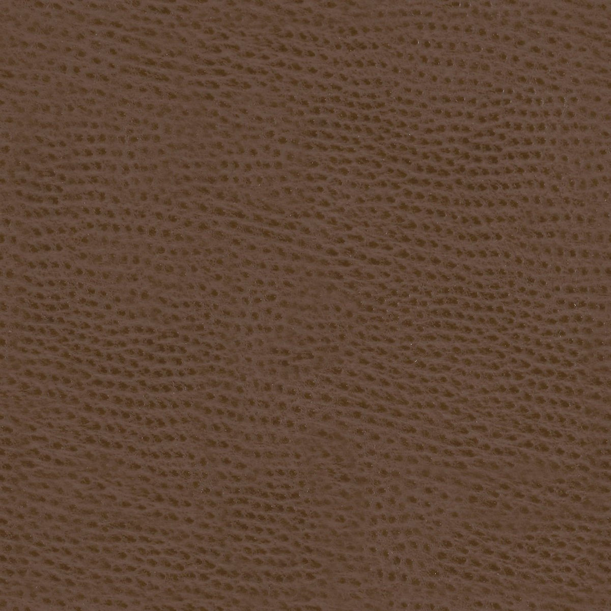 Mayer Outback Bombay OB-020 Upholstery Fabric