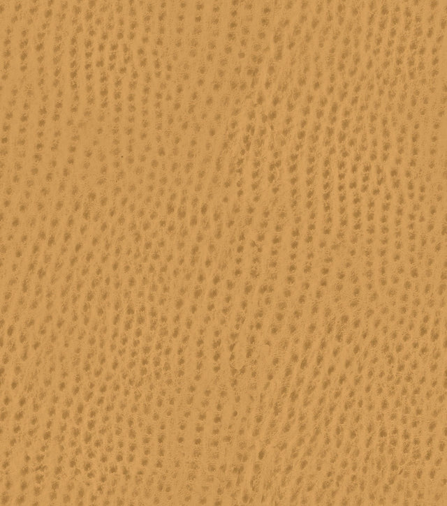 Mayer Outback Caramel OB-017 Upholstery Fabric