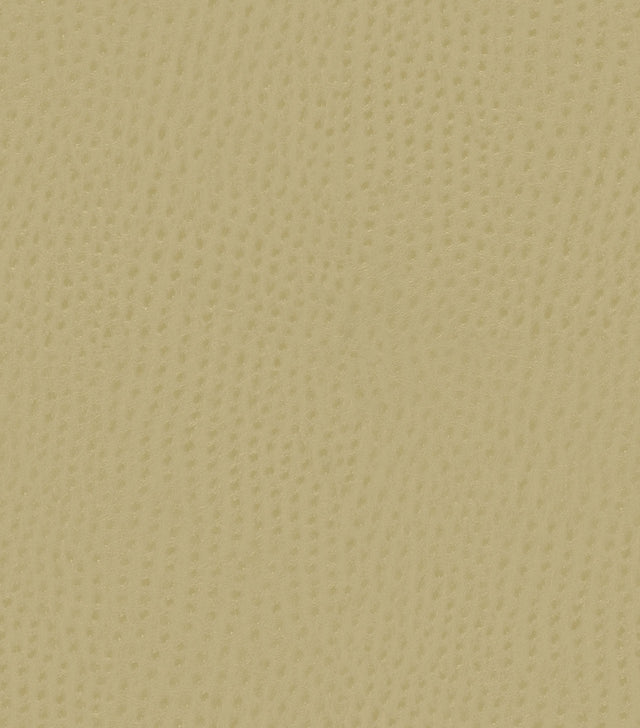 Mayer Outback Cypress OB-013 Upholstery Fabric