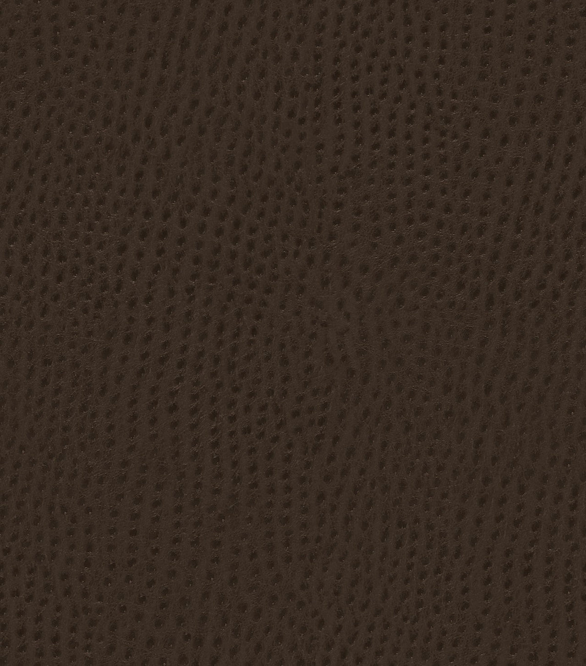 Mayer Outback Java OB-000 Upholstery Fabric