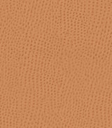 Mayer Outback Spice OB-009 Upholstery Fabric