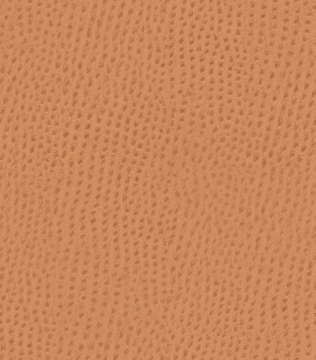 Mayer Outback Spice OB-009 Upholstery Fabric