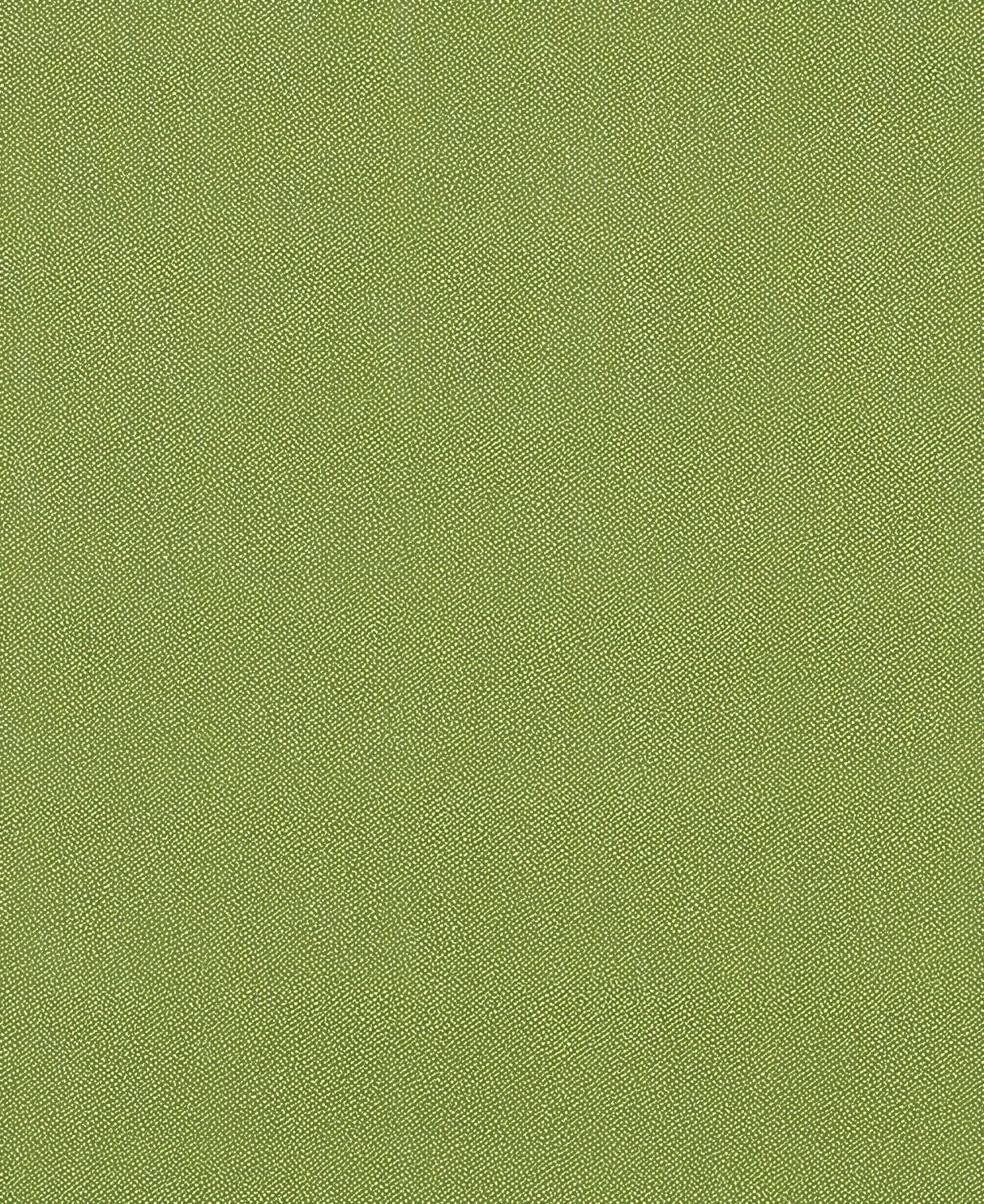 Sample of Mayer Silverweave Lime Sw - 043 Upholstery Fabric