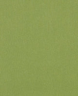 Sample of Mayer Silverweave Lime Sw - 043 Upholstery Fabric