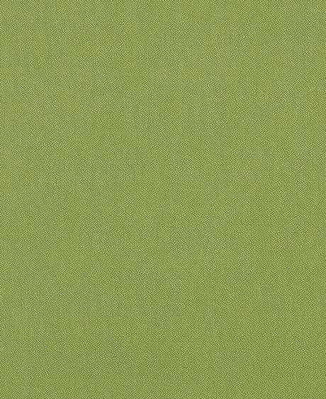 Sample of Mayer Silverweave Lime Sw - 043 Upholstery Fabric