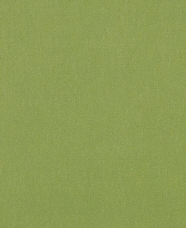 Sample of Mayer Silverweave Lime Sw - 043 Upholstery Fabric