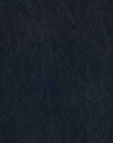 Sample of Mayer Spartan Admiral SN-054 Craftsman Collection Upholstery Fabric