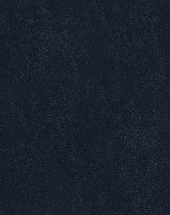 Sample of Mayer Spartan Admiral SN-054 Craftsman Collection Upholstery Fabric