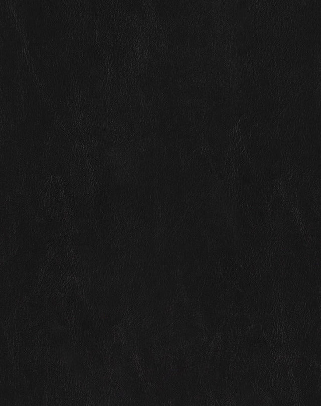 Sample of Mayer Spartan Black SN-056 Craftsman Collection Upholstery Fabric