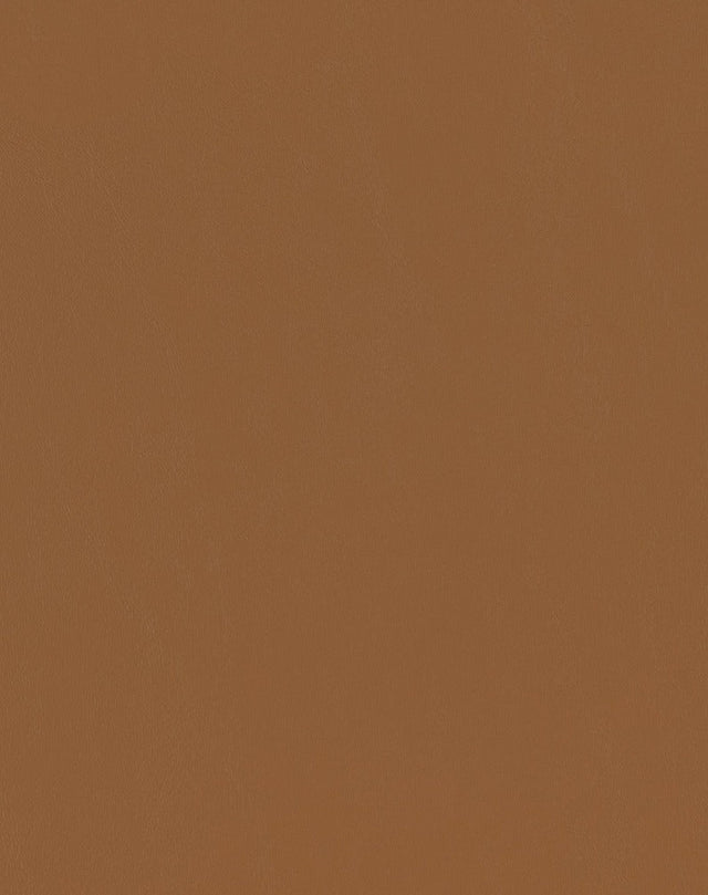 Sample of Mayer Spartan Caramel SN-020 Craftsman Collection Upholstery Fabric