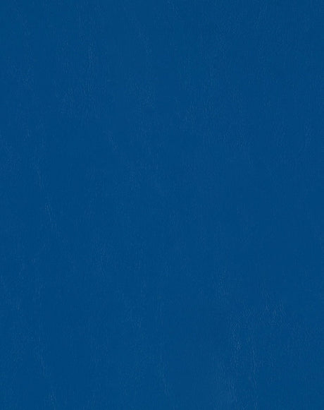 Sample of Mayer Spartan Cobalt SN-034 Craftsman Collection Upholstery Fabric