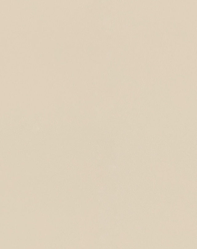 Sample of Mayer Spartan Cream SN-057 Craftsman Collection Upholstery Fabric