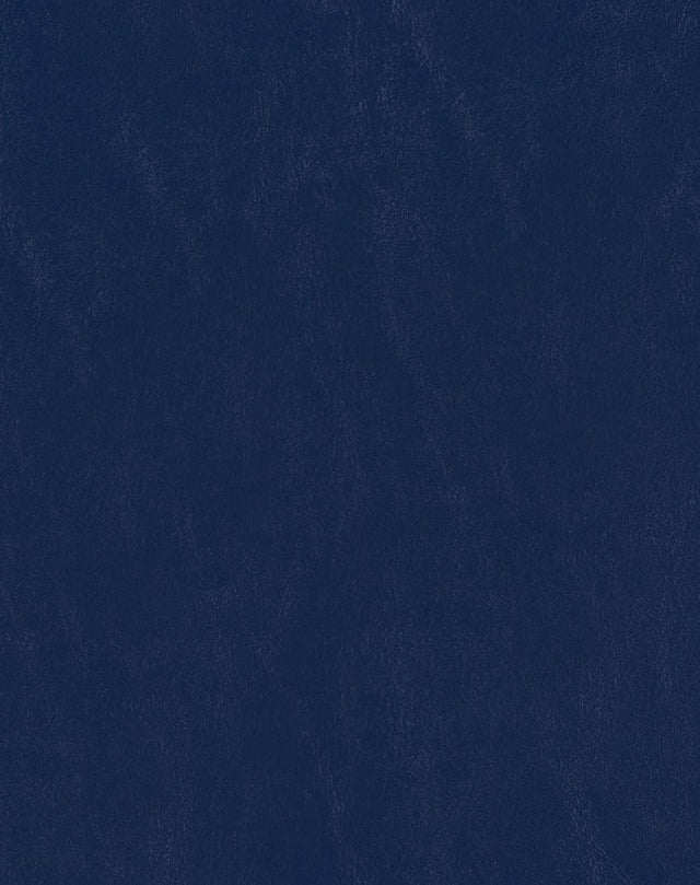 Sample of Mayer Spartan Deep Sea SN-044 Craftsman Collection Upholstery Fabric