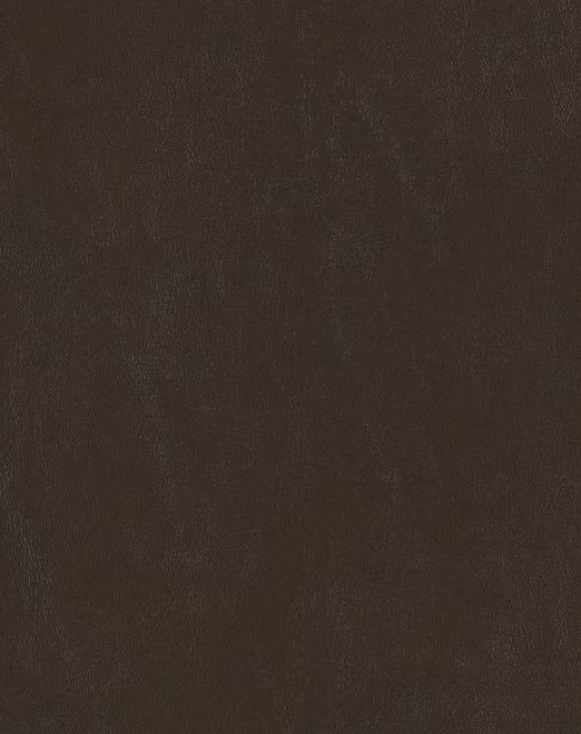 Sample of Mayer Spartan Espresso SN-040 Craftsman Collection Upholstery Fabric