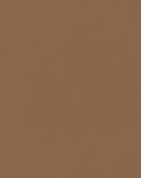 Sample of Mayer Spartan Mojave SN-010 Craftsman Collection Upholstery Fabric