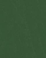 Sample of Mayer Spartan Parsley SN-013 Craftsman Collection Upholstery Fabric