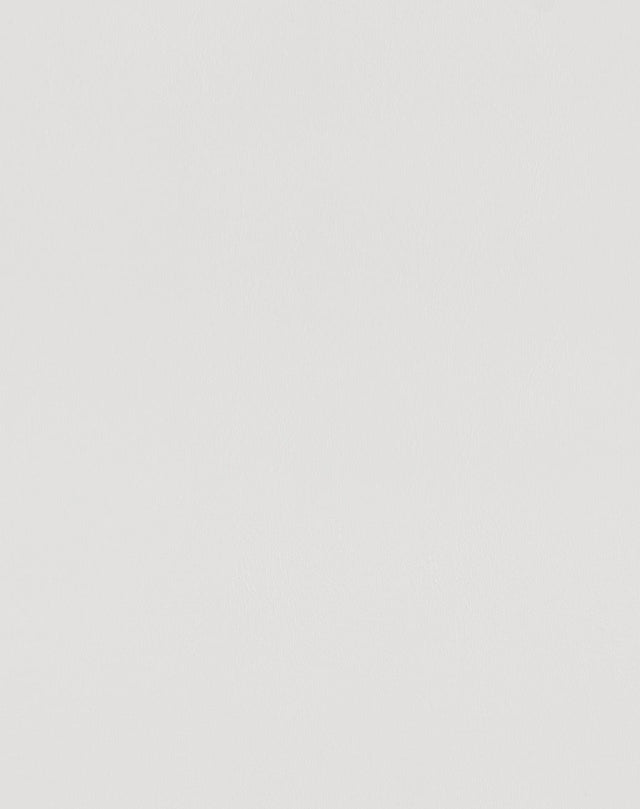 Sample of Mayer Spartan Snow SN-007 Craftsman Collection Upholstery Fabric
