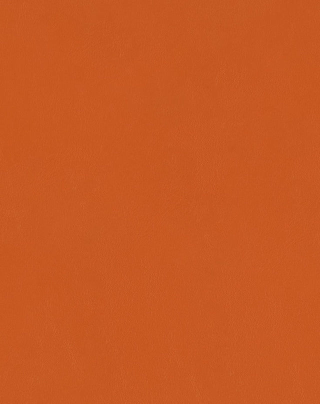 Sample of Mayer Spartan Tangerine SN-009 Craftsman Collection Upholstery Fabric