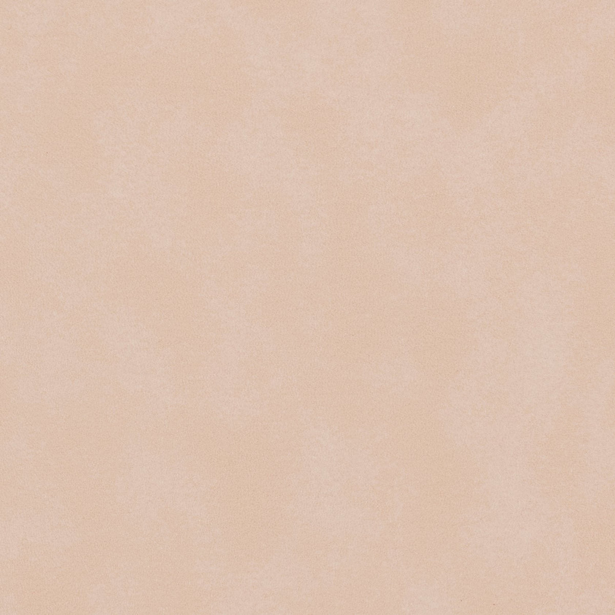 Morbern Marine Biscayne Bone BI-114 Upholstery Fabric