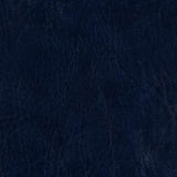 Morbern Marine Biscayne Navy BI-108 Upholstery Fabric