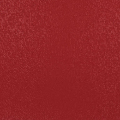 Olympus American Beauty OLY130ADF Contract Automotive and Marine Upholstery Fabric 