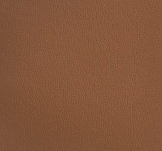 Sample of Olympus Cinnamon OLY210ADF Contract Automotive and Marine Upholstery Fabric
