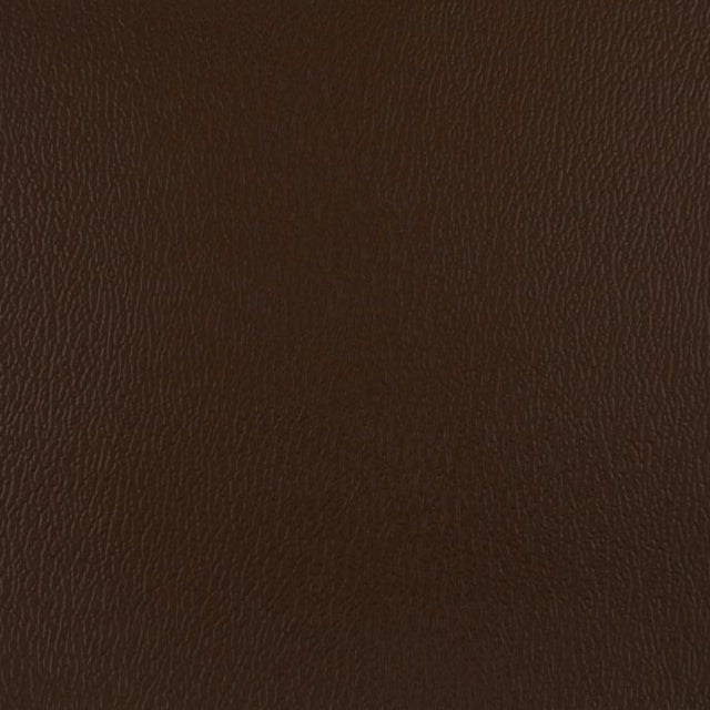 Olympus Earth OLY255ADF Contract Automotive and Marine Upholstery Fabric 
