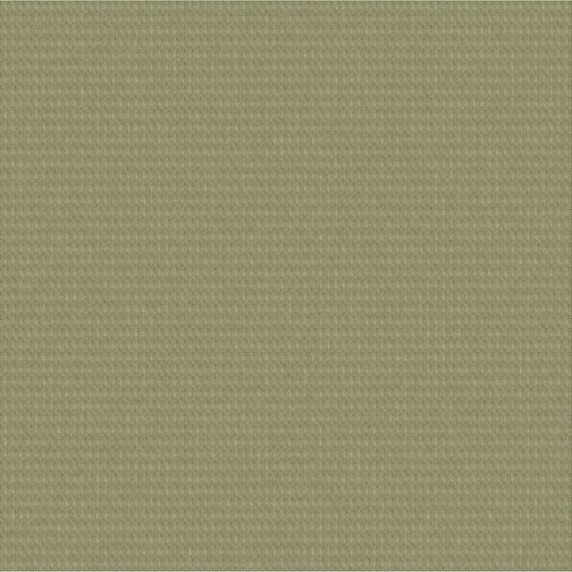 Sample of Outdura ETC Asparagus 2671 Ovation 4 Collection - Garden Spot Upholstery Fabric