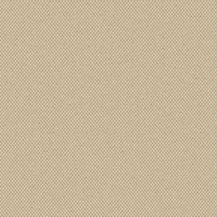 Sample of Outdura Rumor Bamboo 6652 Modern Textures Collection Upholstery Fabric