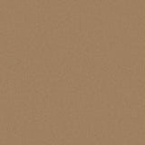 Sample of Outdura Solids Burnish 5460 Modern Textures Collection Upholstery Fabric