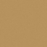 Sample of Outdura Solids Golden 5443 Modern Textures Collection Upholstery Fabric