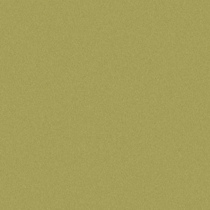Sample of Outdura Solids Pesto 5432 Modern Textures Collection Upholstery Fabric