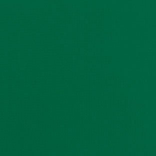 Sample of Patio 500 Dark Green 510 61-Inch Awning Fabric