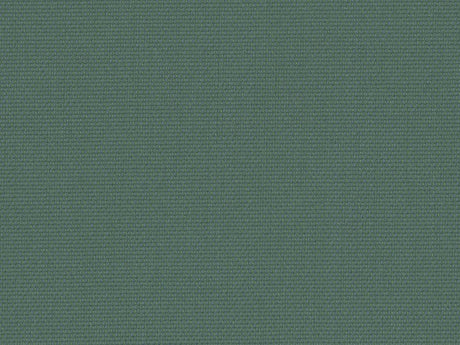 Sample of Perennials Canvas Weave Rosemary 600-248 More Amore Collection Upholstery Fabric