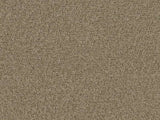Sample of Perennials Loop De Loop Linen 981-27 Kidding Around Collection Upholstery Fabric