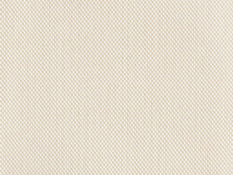 Sample of Perennials Nailhead Sea Salt 620-124 Camp Wannagetaway Collection Upholstery Fabric