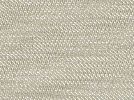 Sample of Perennials Nit Witty White Sands 930-270 Camp Wannagetaway Collection Upholstery Fabric