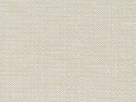 Sample of Perennials Raffia Chalk 210-224 Clodagh Collection Upholstery Fabric