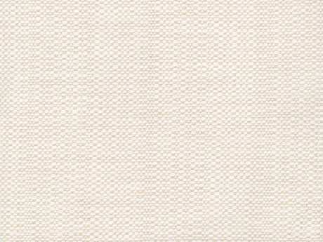 Sample of Perennials Raffia Oyster 210-24 Clodagh Collection Upholstery Fabric