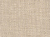 Sample of Perennials Raffia Vellum 210-170 Clodagh Collection Upholstery Fabric