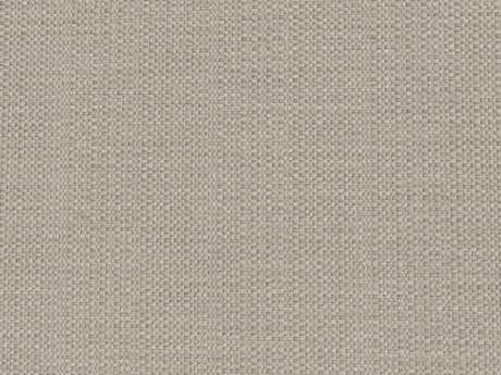 Sample of Perennials Raffia White Sands 210-270 Clodagh Collection Upholstery Fabric