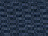 Sample of Perennials Rough 'n Rowdy Blue Jean 955-501 Beyond the Bend Collection Upholstery Fabric