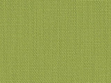 Sample of Perennials Rough 'n Rowdy Lime Punch 955-14 Beyond the Bend Collection Upholstery Fabric