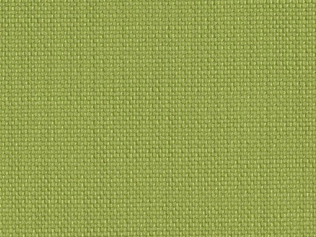 Sample of Perennials Rough 'n Rowdy Lime Punch 955-14 Beyond the Bend Collection Upholstery Fabric