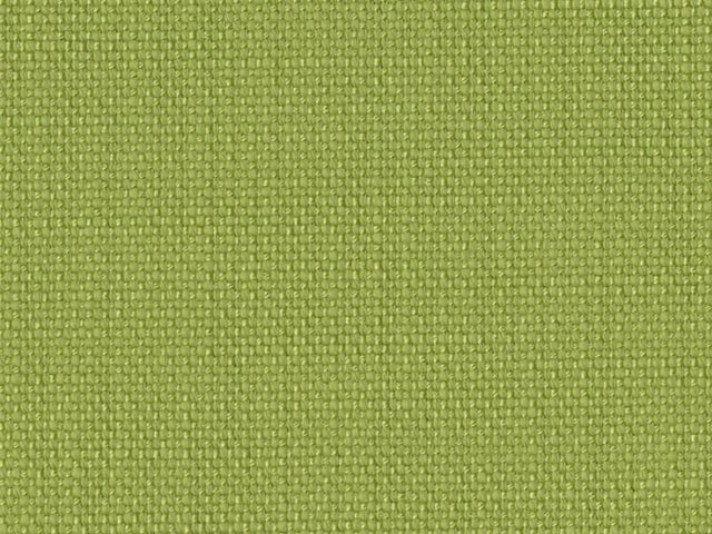 Sample of Perennials Rough 'n Rowdy Lime Punch 955-14 Beyond the Bend Collection Upholstery Fabric