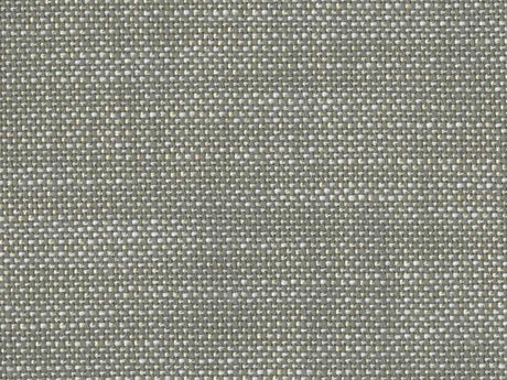 Sample of Perennials Rough 'n Rowdy Nickel 955-296 Beyond the Bend Collection Upholstery Fabric